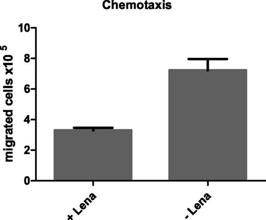 Figure 6. Impaired SDF1-α-mediated migration of CLL cells upon lenalidomide treatment. A total of 1 × 107 PBMC from CLL patients were cultured in 400 µL complete medium in 24-well plates in the presence or absence of 10 µM lenalidomide for 3 days. The, 3 × 106 of these pretreated cells were seeded in the upper compartment of a transwell with 5 µm pore size. Complete medium containing 200 ng/mL SDF1-α was added to the lower compartment as chemoattractant. After 1.5 hours of incubation at 37°C, migrated cells were quantified using a ViCell counter. Mean values and SEM of 3 technical replicates of 1 representative example out of 3 independently performed experiments are shown.