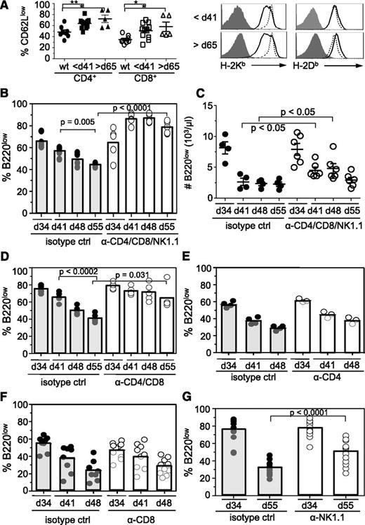 Figure 4. T and NK cells mediate regression of tumor cells in blood. (A) Percentage of CD62LlowCD3+CD4+, CD62LlowCD3+CD8+ T cells and MHC class I (H-2Kb and H-2Db) levels on B220low cells in the blood of preregression and postregression Eμ-myc mice and WT mice at <41 days of age (bold lines). Staining of MHC class I expression was compared with WT B220low cells (dashed line) or isotype controls (filled histogram). P values are indicated as HP < .009 and HHP = .001. (B-G) To determine effector mechanisms of tumor regression in vivo, Eμ-myc mice at 34 ± 2 days of age were treated with (B,C) anti-CD4 (500 μg/mouse), anti-CD8 (250 μg/mouse), and anti-NK1.1 (500 μg/mouse) antibodies. In some experiments mice were treated with anti-CD4 and CD8 antibodies (D), anti-CD4 (E), anti-CD8 (F), or anti-NK1.1 (G). Tumor load in the blood was determined by flow cytometry at 34 days of age (preregression) and during regression at 41 (B-F), 48 (B-F), and 55 days of age (B,C,D,G). Because T-cell depletion influences the percentage of tumor load in the blood, tumor load at 41 days of age was compared with the tumor load at 48 and 55 days of age. (C) The number of B220low cells in blood was determined as outlined in Figure 1C. Graphs represent the combined data from 2 independent experiments. ctrl, control; d, day.