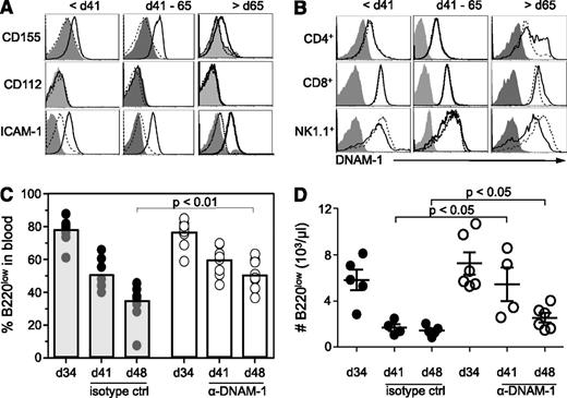 Figure 5. DNAM-1 partially mediates regression of tumor cells in blood. (A) DNAM-1 ligands and ICAM-1 levels on B220low cells in the blood of preregression, regression, and postregression Eμ-myc mice (bold lines) were compared with WT B220high cells (dashed line) or isotype control stainings (filled histogram). (B) Analysis of DNAM-1 levels on CD4+CD3+, CD8+CD3+ T cells and NK1.1+CD3− NK cells from blood of preregression, regression, and postregression Eμ-myc mice (bold lines). Staining was compared with WT NK cells or T cells (dashed line) or isotype controls (filled histogram). (C-D) To determine effector mechanisms of tumor regression in vivo, Eμ-myc mice at 34 days of age were treated with anti–DNAM-1 antibody (100 μg/mouse). Tumor load (C) and B220low cell number (D) in the blood was determined by flow cytometry at 34, 41, and 48 days of age. The number of B220low cells in blood (D) was determined as outlined in Figure 1C. Graphs represent the combined data from 2 independent experiments. ctrl, control; d, day.