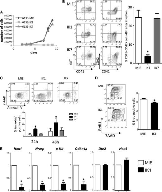 Figure 2. Ikaros inhibits growth of AMKL cells transformed with OTT-MAL. (A) The viability of GFP-sorted 6133 cells expressing GFP alone (MIE), full-length Ikaros (IK1), or the IK7 dominant-negative isoform was assessed over time by trypan blue exclusion. Means ± SD of triplicate experiments are shown. (B) c-Kit, CD41, and CD42 surface marker expression 48 hours after transduction of 6133 cells with MIE, IK1, or IK7. (Left panels) Representative experiment. (Right panels) Bar graph of the means ± SD of the percentages of CD41+CD42+ cells (n = 3). *P = .0004. (C) Annexin V, 7-AAD staining of 6133 cells was evaluated 24 and 48 hours after transduction by flow cytometry. (Top panel) Representative FACS plot at 48 hours. (Bottom panel) Bar graph depicts means ± SD of triplicate experiments. *P < .05. (D) Cell-cycle analysis of GFP- or IK1-expressing 6133 cells was measured by BrdU incorporation and 7-AAD staining coupled with flow cytometry. *P = .0004. (E) Expression of the Notch target gene Hes1, Nrarp, Kit, Cdkn1a, Dtx2, and Hes6 in 6133 cells expressing GFP or IK1 was measured by qRT-PCR. Means ± SD of 3 independent experiments are shown. *P ≤ .01. 7-AAD, 7-amino actinomycin D; FACS, fluorescence-activated cell sorter.