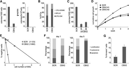 Figure 2. CBX2 is required for both hematopoietic stem and progenitor self-renewal. (A) CFC analysis and subsequent replating of SCR and CBX2 CD34+ knockdown cells. (B) CFC colonies were scored on the basis of morphology as CFU-GEMM, BFU-E, and CFU-GM. (C) CFC analysis of transduced CD34+ CB cells using 2 distinct shCBX2 hairpin vectors (#1 and #2). (D) Liquid culture of sorted SCR and CBX2 knockdown (#1 and #2) cells. (E) Representative experiment of limiting-dilution LTC-IC analysis of SCR and CBX2 knockdown cells. (F) Representative experiment of single-cell cultures of transduced CD34+CD38− cells. Wells without cells were annotated as apoptosis, wells with 1 cell as quiescent, and wells with >1 cell as proliferation. (G) Annexin V staining of transduced CD34+ cells after 3 days of liquid culture (n = 2).