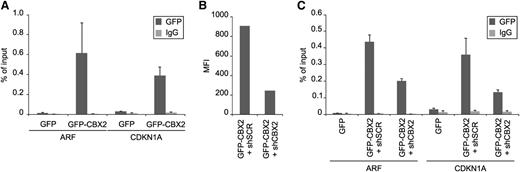 Figure 5. GFP-CBX2 binds to the p21 and p14ARF loci, which is reduced upon knockdown of CBX2. (A) CB CD34+ cells were transduced with GFP control or GFP-CBX2 vectors, cells were expanded in liquid culture for 12 days, and ChIP experiments were performed on the p14ARF and p21 loci. (B-C) Experiment was performed as in panel A, but cells were cotransduced with pLKO.1 mCherry shRNA vectors against SCR or CBX2. The reduced mean fluorescence intensity of GFP confirmed efficient knockdown of CBX2 protein (B), which coincided with reduced CBX2 binding to p14ARF and p21 loci (C). IgG, immunoglobulin G.