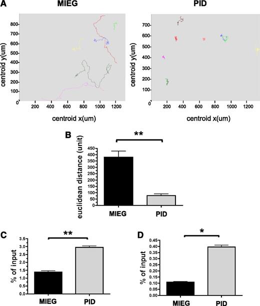 Figure 1. Increased random migration of PID-transduced HSPC in response to SDF-1α. (A-B) Time-lapse microscopy of GFP+ cells from PID or MIEG3-transduced LSK cells on a fibronectin-coated coverslip in the presence of an SDF-1α gradient. (A) Paths followed by individual cells in 1 hour. Representative fields (325 × 325 μm); data shown represents 1 of 2 independent experiments. (B) Total displacement of migration in 1 hour. Data represent mean ± SEM (N = 9-19 cells analyzed per group). **P < .01. (C-D) Chemokinesis of LSK measured after 2 hours in a transwell chamber assay as a result of (C) uniform concentration of SDF-1α or (D) 2% bovine serum albumin alone. Data represent the mean ± SEM, of the percentage of migrated cells (in bottom chamber) normalized to input (total number of cells plated to top chamber), performed in triplicate (N = 3 independent experiments). *P < .05; **P < .01.