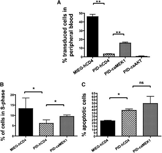 Figure 5. Constitutively active MEK1 (caMEK1) transiently rescues defects in Pak-deficient HSPC engraftment and proliferation. (A) 1.5 × 105 PID or MIEG3 (GFP+) cells co-transduced with caMEK, caAKT, or hCD4 empty vector control were co-transplanted with 5.0 × 105 CD45.1 whole bone marrow into lethally irradiated C57Bl/6J (CD45.2) recipient mice. Data represent mean ± SEM (N = 8-10 recipients per group). 2 independent experiments (**P < .01). Data shows the percentage of GFP cells in the peripheral blood at 3 weeks. (B-C) WT LSK were transduced with MIEG3 (black) or PID (gray) retrovirus and co-transduced with caMEK or hCD4 empty vector (hatched) control. At 36 hours posttransduction cells were stained using an anti-human CD4-PE Cy7 antibody, GFP+/PE Cy7+ double- positive LSK were then isolated by fluorescence-activated cell sorter. (B) Cell cycle analysis was performed 3 days postsort by culturing the isolated cells in the presence of BrdU for 1 hour and subsequent staining using an anti-BrdU antibody and 7AAD. Data represent the mean ± SEM;, percent of cells in the S phase of the cell cycle (N = 3 independent experiments), *P < .05. (C) Percentage of cells undergoing apoptosis was measured using Annexin V antibody and flow cytometry 3 days postsort. Data represent mean ± SEM (N = 3 independent experiments). *P < .05. ns, not significant.
