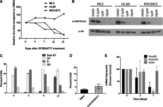 Figure 5. Selective inhibition of the ML2 cell line by EPZ004777. (A) Effect of EPZ004777 on the proliferation of leukemia cell lines bearing an MLL-AF6 (ML2) or MLL-AF9 (MOLM-13) fusion or a cell line lacking an MLL rearrangement (HL60). Cell lines were maintained in the presence of increasing concentrations of EPZ004777: 0.1, 1, and 10 μM. (B) Immunoblots showing the levels of H3K79me2 upon exposure of the different cell lines to indicated concentrations of EPZ004777 or dimethylsulfoxide (DMSO) carrier controls. (C) Cell cycle changes (Hoechst staining) in ML2 cell line upon treatment with 10 μM EPZ004777 for 0, 4, 8, or 10 days. Similar results were obtained in 2 independent experiments, each having 2 technical replicates. (D) Percentage of Annexin V-positive cells plotted 10 d after treatment with 10 μM of EPZ004777 or DMSO control. (E) Time course of HOXA9 and HOXA10 mRNA expression in the ML2 cell line for 7 days of incubation with 10 µM EPZ004777 as measured by quantitative real-time PCR. Expression levels were normalized to GAPDH and expressed relative to those at d 0 (set to 100%). Error bars represent the standard error of the mean (n = 3 independent experiments).