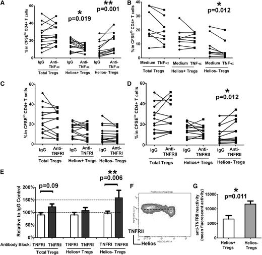 Figure 3. TNF-α inhibits Helios− Treg proliferation through TNFRII. (A) Purified T cells were co-cultured with purified monocytes in the presence of neutralizing anti–TNF-α antibody or an isotype control (“IgG”) antibody, and after 7 days of stimulation with anti-CD3, the frequencies of Foxp3hi (“Total Tregs”) as well as Foxp3hiHelios+ (“Helios+ Tregs”) and Foxp3hiHelios− (“Helios− Tregs”) in theCFSElo CD4+ subset were analyzed. The P value was calculated by paired t-test comparing the effects of treatment with anti–TNF-α relative to IgG control and indicates that Helios+ Treg proliferation is reduced, whereas Helios− Treg proliferation is increased when TNF-α is neutralized through anti–TNF-α. (B) TNF-α was added at the start of the co-cultures of T cells and monocytes stimulated with anti-CD3 for 7 days. Treg (total, Helios+, and Helios−) proliferation was then compared in the absence (“Medium”) or presence (“TNF-α”) of cytokine by paired t-test. The calculated P values indicate that only Helios− Treg proliferation is targeted by TNF-α, causing a decrease in proliferation of this subset. (C) Co-cultures of T cells and monocytes were treated with anti-TNFRI or (D) anti-TNFRII and stimulated with anti-CD3 for 7 days. Treg (total, Helios+, and Helios−) proliferation was then compared with IgG control antibody by paired t-test. The calculated P values indicate that only blocking with anti-TNFRII affects proliferation of Helios− Tregs. (E) Percent increase in the numbers of Tregs (total, Helios+, and Helios−) in the presence of anti-TNFRI and anti-TNFRII relative to IgG control is shown for the studies presented in (C) and (D) and is consistent with a role for TNFRII, but not TNFRI, in Helios− Treg development. (F) Representative dot plot of TNFRII and Helios expression in divided Foxp3hi Tregs, showing surface expression levels of TNFRII on Helios+/− Tregs. (G) Relative mean fluorescence intensity analysis of TNFRII expression on Helios+/− Tregs is shown, indicating that Helios− Tregs express higher levels of TNFRII compared with Helios+ Tregs.