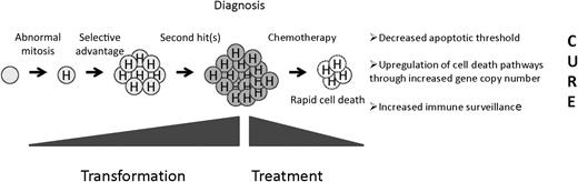 A precursor B cell undergoes an abnormal mitosis that results in hyperdiploidy. A selective advantage is conferred, resulting in a preleukemic clone, and second “hits” result in the fully malignant phenotype. Hyperdiploid cells display unusual sensitivity to chemotherapy through as-yet-undefined mechanisms.