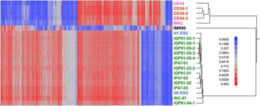 Figure 4. Differential DNA methylation of human ESCs, iPSCs, and primary cells of various sources. These data show that iPSCs generated using our method from peripheral blood nonmobilized CD34+ cells have a general pattern of CpG methylation almost indistinguishable from ESCs and dramatically different from primary hematopoietic cells (CD14 monocytes, 3 separate samples of CD34+ cells, or mixed PBMCs) or the IMR-90 primary fibroblast line. The heat map encodes β values (red, methylated; blue, not methylated) of 2404 autosomal CpG sites (columns) and DNA samples (rows). The Illumina Infinium assay probed 485K methylation sites. Analysis of variance was used to test for a difference in average methylation level (β) between all pairs of 6 predefined classes of cells: ESCs (blue text), CD34+-derived iPSCs (green text), CD34+ cells (red text), PBMCs and CD14+ cells (pink text), and fibroblasts (black text). The CD34+-derived iPSCs include 13 independent lines from 9 different donors, 5 of which had the STEMCCA-loxP vector excised by Cre recombinase (iNC-01, iGP91-03-1, iGP91-03-2, iGP91-04, and iP47-02). We identified a total of 24 040 sites differentially methylated for at least 1 group comparison at a significance level of P < 1 × 10−12; 10% of those sites were selected at random for the subsequent cluster analysis of individual DNA samples. These methylation data are available under GEO accession number GSE40790.