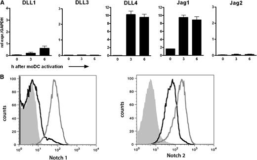 Figure 1. Components of the Notch pathway are present on human moDCs and CD8+ T cells. (A) Relative expression of the five Notch ligands was determined by qRT-PCR in moDCs stimulated with LPS (100 ng/mL) for the indicated times. Samples were analyzed in triplicate. Shown is a representative example of 10 different donors. (B) Membrane expression of Notch1 and Notch2 was determined on CD8+ T cells by flow cytometry. PBLs were cultured with or without αCD3/CD28 microbeads for 4 days in the presence of IL-2 (30 IU/mL). The histograms shown represent live CD8+ T cells. Solid histogram, isotype control; black line, resting CD8+ T cells; gray line, activated CD8+ T cells.