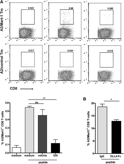 Figure 2. Notch signaling is important for human CD8+ T cell priming. Primary naive CD8+ T cells were cocultured with autologous Mart-1 peptide–loaded moDCs (3 µg/mL peptide), both isolated from an HLA-A2–typed healthy donor, as described in the Methods. Inhibition of Notch during CD8+ T-cell priming, either via (A) GSI (10 μM) or (B) soluble DLL4-Fc (5 μg/mL) resulted in diminished expansion of Mart-1–specific CD8+ T cells, as reflected by A2/Mart-1-tetramer staining using flow cytometry. The results shown are from 2 different donors. Similar results were obtained in 5 independent experiments.