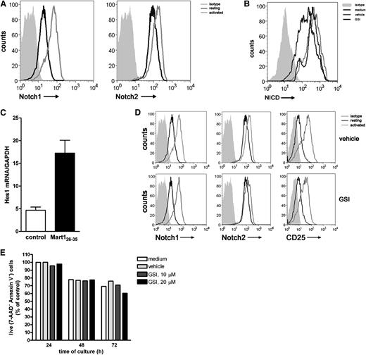 Figure 4. Notch signaling is induced in established effector CD8+ T cells. A Mart-1–specific CD8+ T cell clone was incubated with nonpulsed (medium control) or Mart-1 peptide–pulsed moDCs, and 24 hours later, (A) surface expression of Notch1 and Notch2 and (B) intracellular expression levels of NICD1 were measured by flow cytometry and (C) Hes1 mRNA expression by qRT-PCR. Data are representative of 3 independent experiments. GSI treatment during activation prevented accumulation of (B) NICD intracellular but did not affect (D) surface expression of Notch1, Notch2, and CD25 nor did it affect cell viability, as measured by (E) annexin V/7AAD staining. Shown is a representative example of 3 independent experiments.