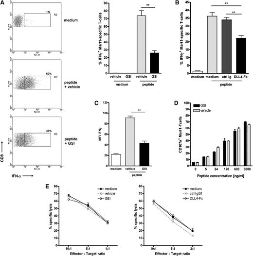 Figure 5. Notch signaling partially affects the effector function of established effector CD8+ T cells. Mart-1–specific CD8+ T cell clone was activated as described for Figure 4 in the presence or absence of Notch signaling inhibitors (A,C-E: 10 μM GSI or vehicle control; B: DLL4-Fc or 5 μg/mL control IgG). (A,B) The frequency of cells secreting IFNγ and (C) the amount produced per cell was determined 24 hours later using intracellular cytokine staining and flow cytometry (n = 5 independent experiments). As a measure for cytotoxic capacity, (D) cell surface expression of CD107a and (E) lytic capacity of the T-cell clone in a flow-based cytotoxicity assay were determined. Shown are representative examples of 3 independent experiments.