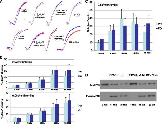 Figure 4. Platelets lacking PIP5KIγ display normal integrin function. (A) Washed murine platelets lacking PIP5KIγ that were analyzed after agonist stimulation in a Lumi-dual aggregometer. Platelets lacking PIP5KIγ have normal aggregation in response to collagen, PMA, thrombin, and AYP, a peptide agonist of PAR4 (the dominant murine thrombin receptor). Results are representative of 3 experiments. (B) Loss of PIP5KIγ does not impair the binding of Jon/A, an antibody that only recognizes the activated form of αIIbβ3. The results are derived from 3 experiments. (C) Following stimulation of washed murine platelets with thrombin, platelets were fixed, permeabilized, and stained with fluorescent phalloidin. Flow cytometry was used to quantitate phalloidin binding in 100 000 cells, and analysis was performed using FlowJo software. Shown is the mean ± standard error of the mean for 3 experiments. (D) PIP5KIγ−/− MLC-2v Cre+ platelets that were layered onto fibrinogen and allowed to adhere for the labeled time periods. Cells were lysed, and immunoblotted with anti-FAK or anti-phosphorylated FAK antibodies.
