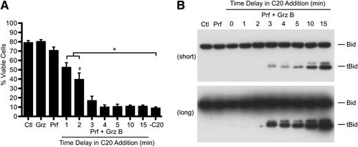 Figure 2. Rapid delivery of granzyme B and initiation of cell death. Minimal cleavage of Bid by Granzyme B is sufficient for transmission of the cell death signal. (A-B) Granzyme B activity quenching: Jurkat cells were simultaneously treated with perforin and granzyme B (62.5 nM) before shifting cell aliquots to media containing 10 µM compound 20 at 1, 2, 3, 4, 5, 10, or 15 minutes after perforin and granzyme addition. Control treatments included nontreated cells (Ctl) and granzyme B–only (Grz) or perforin-only (Prf) treatments. Cells were then either (B) incubated for a further 10 minutes at 37°C, whole cell lysates were prepared, and the formation of tBid was assessed by Bid immunoblot analysis (top, short exposure; bottom, long exposure) or (A) incubated for 24 hours at 37°C/5% CO2 and cell viability was assessed. Data represent the mean ± standard error (n = 3 independent experiments). *P < .05, one-way ANOVA, Tukey post hoc test by comparison with no compound 20 (−C20) treatment; #P < .05, one-way ANOVA, Tukey post hoc test by comparison with perforin-only (Prf) treatment (all treatments from 2 minutes onward were significantly different to Prf). See also supplemental Figure 2.