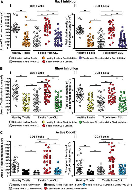 Figure 4. Lenalidomide targets Rho GTPase signaling in T cells from CLL patients. IRM quantification of the (Ai) area (μm2) and (Aii) strength (pixel intensity) of close cell contact points during LFA-1–directed motility on CD54 (following chemokine CXCL12 stimulation) for n = 30 T cells (individual dots) per experimental population is depicted, as indicated. T cells from CLL patients were compared with age-matched healthy donors treated with or without a pharmacologic inhibitor targeting (A) Rac1 or (B) the RhoA subfamily, or (C) transfected with GFP vector alone or with constitutive active Cdc42 (GFP-tagged V12 construct) with cells selected for analysis on the basis of GFP expression. Patient cells were analyzed with or without cotreatment of lenalidomide (Lenalid.). Dot plots are representative of 3 independent CLL patient experiments. **P < .01. black horizontal bar, mean values; ns, nonsignificant findings.