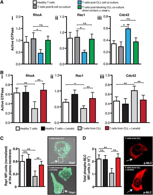 Figure 5. CLL tumor cells induce altered LFA-1 – mediated Rho GTPase activity. (A) The graphs show healthy donor CD3 T cells that were cocultured (48 hours) with either CLL cells (untreated or pretreated with an anti-CD54 neutralizing mAb to block CLL/T cell contact) or third-party healthy B cells (control). T cells from primary coculture or from (B) untreated or lenalidomide (Lenalid.)–treated CLL patients were then purified before exposure to CXCL12 chemokine and LFA-1 cross-linking (mAb 38). T cells were then lysed, and (Bi) RhoA, (Bii) Rac1, and (Biii) Cdc42 activity were measured using G-LISA assays (absorbance at 490 nm). (C) The colored columns show the combined mean activation signal ± SD from 6 CLL patients or healthy donor T cell controls (mean fluorescence expression ± SD). Normalized MFI of Rap1 immunofluorescent staining at the T-cell plasma membrane (C, white box) and (D) total MFI expression of p-MLC from 3 independent experiments (mean ± SD) examining untreated or lenalidomide-treated T cells from CLL patients compared with age-matched healthy donors cells migrating on immobilized CD54 are shown. Representative images of Rap1 and p-MLC staining visualized using confocal microscopy (with Alexa Fluor 488 or 546 secondary antibodies, respectively) for untreated and lenalidomide-treated T cells from CLL patients are shown as indicated. Original magnification ×63.*P < .05; **P < .01. ns, nonsignificant findings.