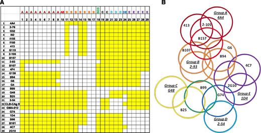 Figure 1. ELISA competition matrix and overlap pattern of anti-A2 mAbs. (A) Competition matrix compiling the results of competition ELISA among 29 anti-A2 mAbs. Rows represent primary mAbs and columns represent biotinylated secondary mAbs. Yellow and white squares represent binding and no binding (no overlap and overlap), respectively, of secondary mAbs. (B) Venn diagram representing overlaps produced by the competition matrix. Each mAb was assigned a group based on its overlap with a basis set of 5 mAbs 4A4—2-93, G48, 2-54, and 1D4—that are underlined and italicized. Colors depict the 8 groups of mAbs defined by their overlap with basis set mAbs: dark red, group A; red, group AB; orange, group B; yellow, group C; green, group BCD; light blue, group D; blue, group DE; and purple, group E.