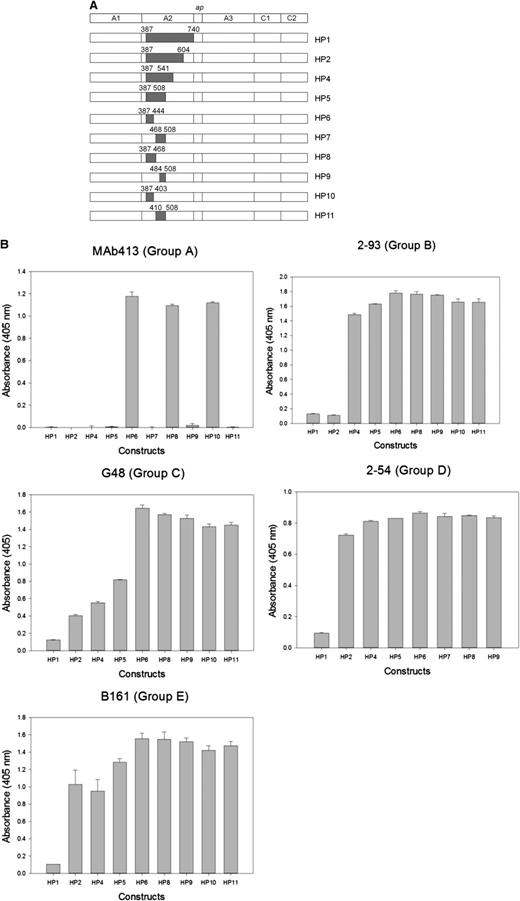 Figure 2. Epitope mapping of anti-A2 mAbs by homolog-scanning mutagenesis. (A) BDD hybrid human/porcine fVIII constructs. Shaded areas represent porcine fVIII substitutions. (B) Binding of anti-A2 mAbs to human/porcine fVIII. fVIII was captured on a microtiter plate using immobilized anti-C2 mAb, followed by addition of biotinylated anti-A2 mAb and detection using streptavidin–alkaline phosphatase. Bars represent the range of duplicate determinations.