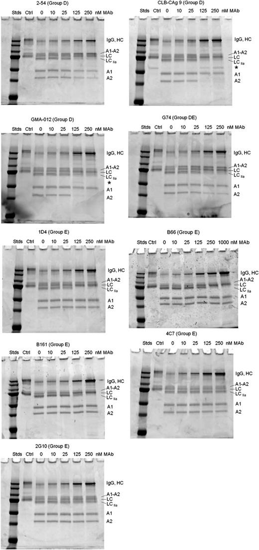 Figure 6. Effect of group D and E anti-A2 mAbs on thrombin-catalyzed proteolytic cleavage of full-length fVIII. fVIII (100 nM) was incubated with 0.5 nM thrombin for 10 minutes at 37°C in the presence of the indicated mAb concentrations. Proteolytic cleavages were analyzed by SDS-PAGE as described in “Effect of anti-A2 mAbs on thrombin-catalyzed proteolytic cleavage of fVIII.” Ctrl, fVIII control not exposed to thrombin or anti-A2 mAbs; Stds, Molecular weight standards are 250, 150, 100, 75, 50, 37, and 25 kDa.