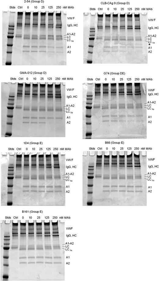 Figure 7. Effect of group D and E anti-A2 mAbs on thrombin-catalyzed proteolytic cleavage of the full-length fVIII/VWF complex. fVIII (100 nM) was incubated for 10 minutes at 37°C with VWF (1000 nM monomer equivalents) and then incubated for an additional 10 minutes in the presence of increasing mAb concentrations. Thrombin (0.5 nM) was added for 10 minutes and the reaction products were analyzed by SDS-PAGE as described in “Effect of anti-A2 mAbs on thrombin-catalyzed proteolytic cleavage of fVIII.” Ctrl, fVIII control not exposed to thrombin or anti-A2 mAbs; Stds, Molecular weight standards are 250, 150, 100, 75, 50, 37, and 25 kDa.