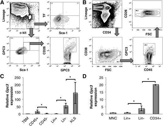 Figure 3. GPC3 is expressed on the cell surface of murine as well as human HSPCs. (A) Expression of TF, GPC3, and CD26 on KLS cells. Lin−c-kit+ BM MNCs were gated (top left) and the cell-surface expression of TF (top right) and GPC3 (bottom left) was determined in combination with Sca-1. GPC3-expressing KLS cells were further gated to determine CD26 expression (bottom right). (B) Freshly isolated MNCs from human UCB samples were analyzed for coexpression of CD26 (top right) and GPC3 (bottom right) in lin−CD34+ cells (top left) gated for CD38− cells (bottom left). (C) qRT-PCR analysis of Gpc3 expression in different subpopulations of mouse BM (n = 4). (D) qRT-PCR analysis of Gpc3 expression in different subpopulations human UCB-derived MNCs (n = 5). Error bars represent SEM; *P < .05.
