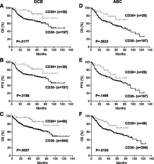 Figure 3. Prognostic impact of CD30 expression in COO subtypes of DLBCL. (A-B) OS (A) and PFS (B) of patients with CD30+ DLBCL of the GCB subtype in the training set. (C) OS of patients with CD30+ DLBCL of the GCB subtype in the combined training and validation sets. (D-E) OS (D) and PFS (E) of patients with CD30+ DLBCL of the ABC subtype in the training set. (F) OS of patients with CD30+ DLBCL of the ABC subtype in the combined training and validation sets.