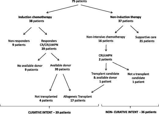Figure 1. Flowchart outlining the progression of patients through the treatment algorithm.