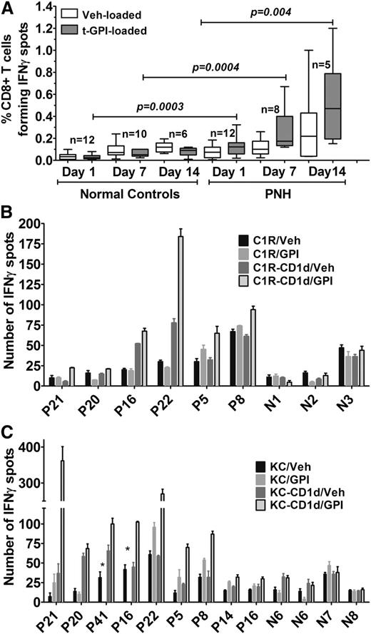 Figure 1. CD1d-dependent T-cell reactivity in response to exogenous GPI. (A) IFNγ spot formation by CD8+ T cells from PNH patients and normal donor controls assessed in ELISPOT assays against t-GPI– or Veh-loaded C1R-CD1d cells. Assays were performed on days 1, 7, or 14 at a fixed E:T ratio 3:1 (number of plated T cells varied between 5 × 104 and 105 per well) as described in “Patients, materials, and methods.” The median frequency of IFNγ spot-forming CD8+ T cells as a percentage of total CD8+ T cells was derived after the mean number of spots of triplicate or quadruplicate assays was calculated. In the box-and-whisker plots, the horizontal line inside the box represents the median, the top and bottom of the box represent the interquartile range, and the vertical bars the range. Number of samples used in each time point and group are also shown. Significance P values were estimated by Mann-Whitney test. (B) IFNγ ELISPOT assay performed with CD8+ T cells from 6 PNH patients (P) and 3 normal controls (N) cultured for 24 hours with the parental CD1d-negative C1R cell line or its C1R-CD1d derivative loaded with Veh or t-GPI (E:T ratio of 1:1; 5 × 104 T cells per well plated in triplicate assays). Data are shown as mean ± SEM. (C) IFNγ ELISPOT assay performed with CD8+ T cells from 9 PNH patients and 3 controls cultured for 24 hours with the GPI-negative K562 cell line KC or its derivative KC-CD1d loaded with GPI or Veh (E:T ratio of 1:1; 5 × 104 T cells per well plated in triplicate assays). Data are shown as mean ± SEM. *Not performed.