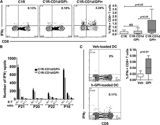 Figure 2. CD1d-dependent T-cell reactivity in response to endogenous GPI. (A) (Left) Representative flow cytometry plots showing intracellular IFNγ-producing CD8+ T cells from a PNH patient after monocyte-depleted PBMCs were cocultured with C1R, C1R-CD1d/GPI-positive, or C1R-CD1d/GPI-negative B cells for 7 days, followed by the addition of the same number of APCs. Brefeldin A was added 16 hours before harvesting the culture. Cells were stained with mAbs against human CD3, CD8, and intracellular IFNγ. Flow cytometry plots shown are gated on CD3+ cells. (Right) Cumulative data from 9 patients showing frequency of CD8+ T cells expressing intracellular IFNγ (Wilcoxon signed rank test). (B) IFNγ ELISPOT assays performed with CD8+ T cells from 4 PNH patients cultured for 24 hours with C1R-CD1d/GPI-positive cells and its GPI-negative derivative. The APC number was 2 × 104 in each well; E:T ratios as shown. (C) (Left) Representative flow cytometry plots showing IFNγ-producing, patient CD8+ T cells after a 3-day coculture of monocyte-depleted PBMCs with autologous, GPI-negative, mature DCs loaded with h-GPI or Veh. Flow cytometry plots shown are gated on CD3+ cells. (Right) Cumulative data from 11 PNH patients (Wilcoxon signed rank test).