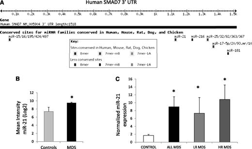 Figure 2. miR-21 has a putative binding site on the SMAD7 3′UTR and is overexpressed in MDS. (A) Targetscan software predicts a strong possibility of miR-21 binding site at position 1122 of the SMAD7 3′UTR with a highly conserved site. (B) Microarray analysis of 41 untreated MDS marrow samples were compared with 10 age-matched controls21 and demonstrate upregulation of miR-21 (mean intensity ± SEM, Student’s t-test, P = .001). (C) Quantitative RT-PCR was done for miR-21 and endogenous control, RNU44, on 19 MDS and 13 age-matched control bone marrow MNCs using the Ambion Taqman miroRNA assay kit. MDS samples had significantly higher expression of miR-21 (*Student’s t-test, P = .04). Both lower- and higher-risk MDS (low-risk MDS, N = 10, P value = .04; high-risk MDS, N = 9, P = .03, Student’s t-test) had higher mean expression when compared with controls.