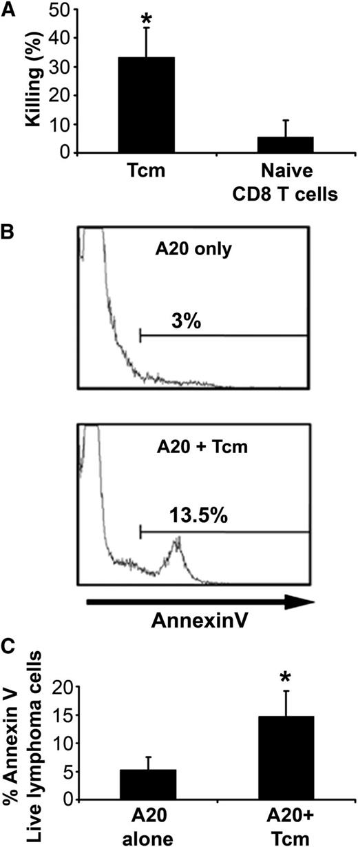 Figure 1. Apoptosis induction in mouse lymphoma cells by anti–third-party Tcm through a nonalloreactive mechanism. CalceinAM-prelabeled murine A20 lymphoma cells (BALB/c origin) were incubated for 16 hours with or without a 5-fold excess of F1 (CB6-H2bd) –derived anti–third-party Tcm or naive CD8 T cells. (A) Numbers of viable Calcein+ lymphoma cells were determined by flow cytometry. Percent killing was calculated as described in “Methods.” Results shown represent average ± SD of 3 independent experiments. *P value < .05 compared with percent killing displayed by naive CD8 T cells. (B-C) Apoptosis was evaluated by using flow cytometry for Calcein and Annexin V+ fluorescence. (B) Representative results demonstrating live A20 lymphoma cells (gating on Calcein+ cells) undergoing apoptosis (Annexin V+) in the presence or absence of anti–third-party Tcm. (C) Quantification of results, shown in panel B, demonstrating apoptosis induction in A20 cells by anti–third-party Tcm. Results represent mean ± SD of 3 independent experiments, each in triplicate. *P value < .05 compared with percent Annexin V+ on A20 cells alone.