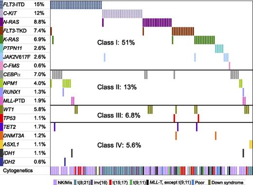 Figure 1. The frequencies and distribution of 19 gene mutations and their cooperativity. Each column represents one individual patient with at least one mutated gene(s) shown by different colored bars. The top 8 genes belong to class I, the next 4 genes class II, WT1 and TP53 class III, and last 5 genes class IV. The last raw represents the cytogenetics for each patient.