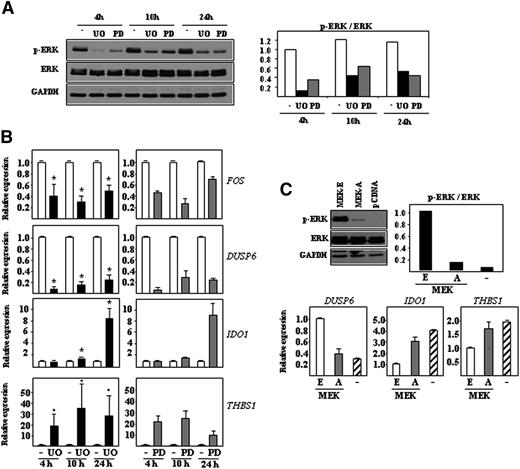 Figure 2. Analysis of ERK-dependent gene expression in immature MDDCs. (A) Effect of U0126 (UO) or PD98059 (PD) treatment on ERK1/2 phosphorylation in immature DCs after the indicated time of treatment, as determined by western blot. The levels of total ERK1/2 and GAPDH protein were determined in parallel. The histogram illustrates the ratio p-ERK/ERK for each sample, as determined by densitometric analysis of the western blot. One of 3 representative experiments is presented. (B) Relative expression of the indicated genes in immature MDDCs treated with DMSO (-), U0126 (UO), or PD98059 (PD) after the indicated time of treatment. Results are expressed as relative expression, which indicates the expression of each gene in each sample relative to its expression in DMSO-treated immature DCs at every time point (*P < .05). Shown are the means and standard deviations (SDs) of three experiments for UO and two experiments for PD-treated samples. (C) Relative expression of the indicated genes in immature MDDCs nucleofected with either an empty vector (-) or expression vector for a constitutively active (E) or a dominant negative (A) forms of MEK, as determined by real time quantitative reverse transcriptase polymerase chain reaction 24 hours after nucleofection. Results are expressed as relative expression, which indicates the expression of each gene relative to its expression in immature DCs nucleofected with a constitutively active (E) form of MEK. The graph represents the mean and standard deviation of two different experiments. The top panels illustrate the level of ERK phosphorylation (left) in one representative experiment, and the ratio p-ERK/ERK after densitometric analysis of the western blot (right) in each sample.