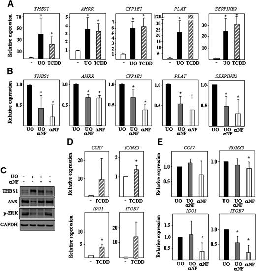 Figure 6. Contribution of AhR to the ERK-dependent gene expression profile in immature DCs. (A) Relative expression of the indicated genes in immature MDDCs from five independent donors after treatment with either DMSO (-), U0126 (UO; 2.5 μM), or TCDD (10 nM) for 24 hours. Results are expressed as relative expression, which indicates the expression of each gene relative to its expression in DMSO-treated cells (*P < .05). (B) Relative expression of the indicated genes in immature MDDCs treated for 24 hours with U0126 (UO; 2.5 μM), α-NF (1 μM), or both. Results are expressed as relative expression, which indicates the expression of each gene relative to its expression in U0126-treated immature MDDCs (*P < .05). The means and SDs of four independent experiments are presented. (C) Expression of THBS1 in immature MDDCs treated for 24 hours with DMSO (-), U0126 (UO; 2.5 μM), or α-NF (1 μM). The levels of AhR, phosphorylated ERK, and GAPDH protein were determined in parallel. (D) Relative expression of CCR7, RUNX3, IDO1, and ITGB7 genes in immature MDDCs treated for 24 hours with either DMSO (-) or TCDD (10 nM). Results are expressed as relative expression, which indicates the expression of each gene relative to its expression in DMSO-treated immature MDDCs (*P < .05). (E) Relative expression of CCR7, RUNX3, IDO1, and ITGB7 genes in immature MDDCs treated for 24 hours with either U0126 (UO; 2.5 μM), α-NF (1 μM), or both. Results are expressed as relative expression, which indicates the expression of each gene relative to its expression in U0126-treated immature MDDCs (*P < .05). In (D) and (E), the means and SDs of four independent experiments are presented.