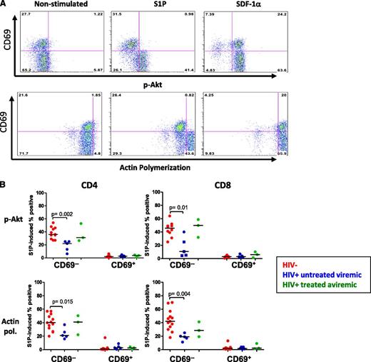 Figure 3. CD69 expression and impaired T-cell responsiveness to S1P. Cell surface expression of CD69 and its relationship to S1P responsiveness was assessed in LN T-cells. (A) Impaired S1P induction of Akt phosphorylation and actin polymerization in CD69+ LN T-cells. This is representative of 13 samples from both HIV− and HIV+ donors. (B) S1P-induced Akt phosphorylation and actin polymerization in CD69 positive and CD69 negative LN cells. Actin pol., actin polymerization.