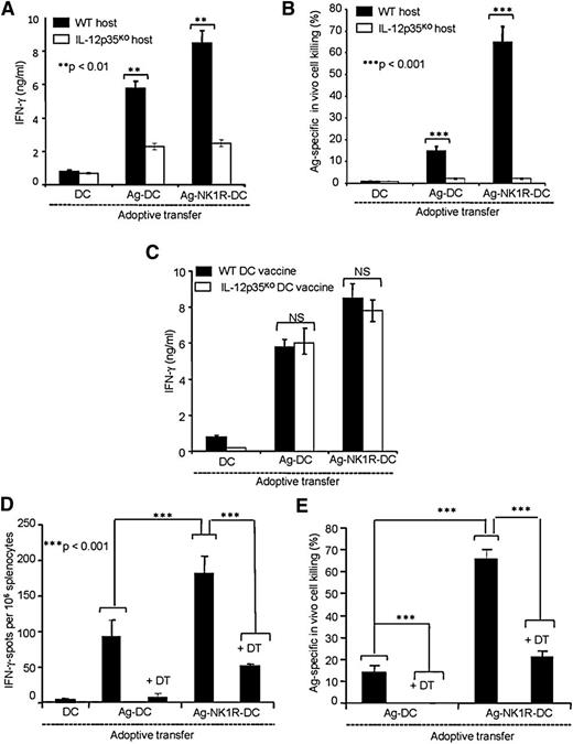 Figure 3. Type 1 immunity elicited by footpad immunization with NK1R-DCs requires IL-12p70 released by host DCs. (A) Secretion of IFN-γ (analyzed by ELISA) by splenic CD4 T cells from WT or IL-12p35KO C57BL/6 mice 7 days after footpad immunization (1 dose) with untreated DCs, Ag-DCs, or Ag-NK1R-DCs. (B) Percentage of Ag-specific CTL function (in vivo killing assays) in WT or IL-12p35KO C57BL/6 mice, 7 days following footpad immunization (1 dose) as described in panel A. (C) Secretion of IFN-γ (analyzed by ELISA) by splenic CD4 T cells isolated from WT mice, 7 days after footpad immunization (1 dose) with WT or IL-12p35KO untreated DCs, Ag-DCs, or Ag-NK1R-DCs. (D) Assessment of IFN-γ–secreting CD4 T cells (by ELISPOT) from spleens of CD11c-DTR mice, depleted or not of host DCs with DT injection 1 day before immunization, and analyzed 7 days following footpad immunization. (E) Percentage of Ag-specific CTL activity (determined using in vivo killing assays) in CD11c-DTR mice treated or not with DT 1 day before administration of untreated DCs, Ag-DCs, or Ag-NK1R-DCs, analyzed 7 days after vaccination. Means ± 1 SD from 5 mice per group are shown. NS, not significant difference.