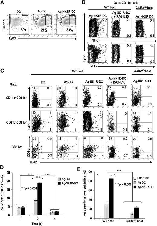 Figure 6. In sDLN, secretion of IL-12 is limited to endogenous DCs and induction of CTL function requires recruitment of inflammatory DCs. (A) Percentages of CD11c+Ly6C+ inflammatory DCs (flow cytometry) in sDLN after skin immunization with untreated DCs, Ag-DCs, or Ag-NK1R-DCs. (B) Further characterization (flow cytometry) of CD11c+Ly6C+ DCs coexpressing TNF-α or iNOS in sDLNs, 2 days after administration of WT Ag-NK1R-DCs, transduced or not with RAd–IL-10, to WT or CCR2KO mice. (C) Identification (flow cytometry) in sDLNs of the DC subsets secreting IL-12p40/70, 2 days after skin immunization of WT or CCR2KO mice with WT untreated-DCs, Ag-DCs, or Ag-NK1R-DCs, the latter transduced or not with RAd–IL-10. (D) Flow cytometric analysis of IL-12p70 kinetics in sDLNs following subcutaneous administration of Ag-DCs or Ag-NK1R-DCs. (E) Comparative analysis of the CTL function (in vivo killing assays), 7 days after skin vaccination of WT or CCR2KO mice with WT, Ag-DCs, NK1R-DCs, or Ag-NK1R-DCs. (A-C) Results from 1 representative of 3 independent experiments are shown. (D) Means ± 1 SD of 5 mice per experimental group are shown.