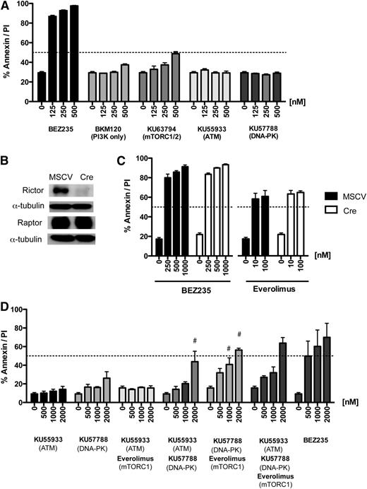 Figure 5. Narrow-spectrum kinase inhibition has less proapoptotic activity than BEZ235. (A) A representative Eμ-Myc lymphoma (#4242) was treated in vitro for 48 hours with increasing concentrations of BEZ235 or a panel of more selective kinase inhibitors (BKM120, KU63794, KU59933, or KU57788) prior to flow cytometric analysis for annexin-V/PI positivity. (B) Eμ-Myc lymphoma derived on a LoxP-Rictor-LoxP background was transduced with MSCV-Cre recombinase (Cre) or empty vector (MSCV). Protein lysates were then separated by SDS-PAGE prior to immunoblotting for Rictor or Raptor expression. (C) Matched Rictor expressing (MSCV) and Rictor knockout (Cre) lymphomas were treated for 24 hours with BEZ235 or Everolimus prior to flow cytometric analysis for annexin-V/PI positivity. (D) Eμ-Myc lymphoma cells were treated with increasing concentrations of ATM inhibitor (KU55933), DNA-PK inhibitor (KU57788), or combined KU55933 and KU57788 alone or in combination with a fixed dose of Everolimus (100 nM) for 24 hours prior to flow cytometric analysis for annexin-V/PI staining. # indicates greater-than-additive apoptotic effect (SQ > 1) for the two-drug combination. All results are represented as the mean (± SEM) of at least 3 independent experiments.