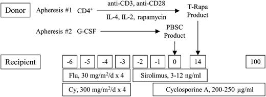 Figure 1. Phase 2 clinical trial design of ex vivo and in vivo Sirolimus for low-intensity allogeneic HCT. Donors underwent steady-state apheresis #1, whereby CD4+ T cells were purified by positive selection; costimulated with anti-CD3 and anti-CD28; and exposed to IL-4, IL-2, and rapamycin in culture for 12 days. The resultant “T-Rapa” cell product was cryopreserved and administered as a preemptive DLI at day 14 post-HCT. Donors underwent apheresis #2 after granulocyte–colony-stimulating factor (G-CSF) mobilization; the peripheral blood stem cell (PBSC) product was unmanipulated (T-cell replete). The recipient was treated for 4 consecutive days (days −6 through −3) with concomitant fludarabine (Flu, 30 mg/m2 per day) and cyclophosphamide (Cy, 300 mg/m2 per day). GVHD prophylaxis consisted of short-course Sirolimus (from day −2 until day +14 post-HCT) and cyclosporine A (from day −1 until day +100 post-HCT).