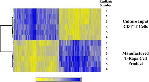 Figure 2. T-Rapa cell products have relatively equal numbers of genes that are up- or downregulated in expression relative to culture input CD4+ T cells. T-Rapa cell products were manufactured ex vivo (n = 6) and compared with the purified CD4+ T cells used to initiate the cultures (n = 6). RNA was purified from each paired sample, with further analysis by gene expression microarray. The heat map illustrates that genes were consistently differentially expressed, with 18.1% of genes (6147 of 34 051) being differentially expressed in T-Rapa products relative to input CD4 cells (P < .001); the number of upregulated genes in T-Rapa cells was relatively equal to the number of downregulated genes.