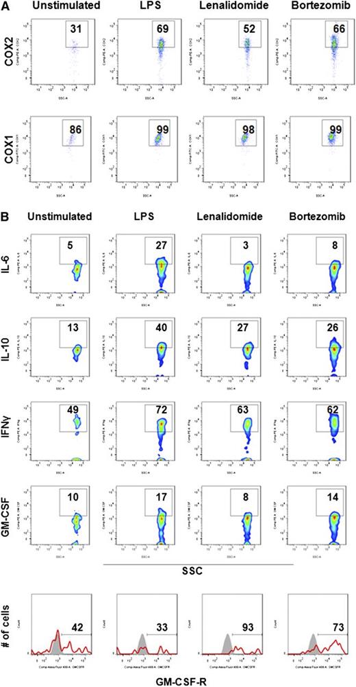 Figure 5. Molecular signature of MDSCs in MM. Immunomodulatory effects of lenalidomide and bortezomib on the expression of MDSC-associated immune suppressive/inflammatory molecules were assessed in MM-BM using intracellular staining flow cytometry analysis. BMMCs from patients with relapsed MM disease were stimulated with LPS (1 μg/mL) and cultured for 16 hours with or without lenalidomide (1 μM) and bortezomib (5 nM). (A) Intracellular expression of immune-suppressive inflammatory molecules COX2 and COX1 were evaluated in MDSCs within BMMCs using anti-COX2 (PE) and anti-COX1 (fluorescein isothiocyanate ) MAbs. Representative 2-parameter dot plots indicate intracellular expression of COX2 (top row) and COX1 (bottom row) in MDSCs, gated as CD11b+CD14-HLA-DR-/lowCD33+CD15+. The data represent the percentage of positive cells per the minimum of 10 000 events per sample. The data shown are representative of 3 different experiments. (B) Intracellular expression of inhibitory cytokines (IL-6, IL10) and stimulatory cytokines (IFN-γ, GM-CSF), as well as surface expression of the GM-CSF receptor, were evaluated by flow cytometry in MM-BM MDSCs. MDSCs were gated as indicated above, and the percentage of expression of cytokines and receptors were demonstrated in representative 2-parameter dot plots. The data shown are representative of 3 different experiments. SSC, side-scattered light.