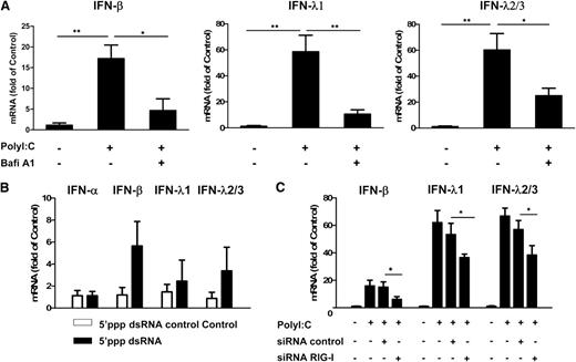 Figure 2. Role of TLR3 and RIG-I in PolyI:C-mediated IFN induction. (A) Effect of disruption of TLR3 function by Bafi A1 on the induction of IFN-β and IFN-λ by PolyI:C stimulation. hCMEC/D3 cells were pretreated with 100 nM Bafi A1 for 1 hour and then stimulated with 1 µg/mL PolyI:C for 16 hours. (B) hCMEC/D3 cells were stimulated with 1 µg/mL 5′ppp dsRNA or 5′ppp dsRNA control for 16 hours, washed with plain medium 3 times, and then cultured for 48 hours poststimulation. (C) hCMEC/D3 cells were pretransfected with RIG-I siRNA or control siRNA for 24 hours prior to stimulation with 1 µg/mL PolyI:C. RNA was extracted and IFN expression was measured by quantitative real-time polymerase chain reaction (qRT-PCR). Data were the mean ± SD of 3 independent experiments. Asterisks indicate that the differences between the indicated groups are statistically significant (*P < .05; **P < .01).