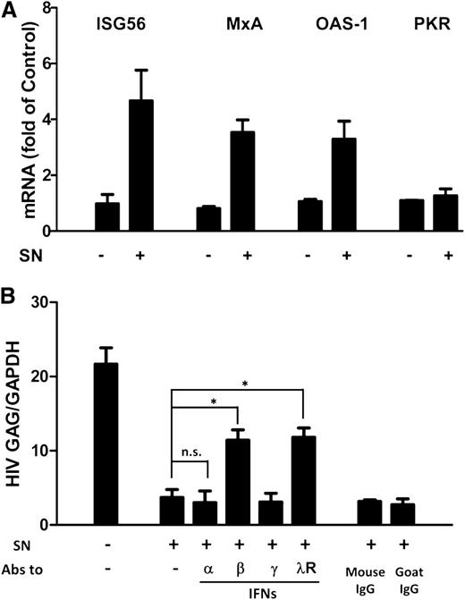 Figure 5. Role of IFN-β and IFN-λ in PolyI:C-mediated anti-HIV activity. (A) Effect of PolyI:C-stimulated hCMEC/D3 culture SN on ISG expression of macrophages. HCMEC/D3 cells were stimulated with 1 µg/mL PolyI:C for 16 hours. Culture SN was collected for treatment of macrophages (10% v/v) for 6 hours. RNA was extracted, and the expression of ISGs (ISG56, MxA, OAS-1, and PKR) was measured by qRT-PCR. The results shown are mean ± SD of triplicate cultures, representative of 3 separate experiments. (B) Effect of neutralization antibodies (Abs) to IFNs or IFN-λ receptor on PolyI:C-stimulated hCMEC/D3 culture SN-mediated anti-HIV activity. PolyI:C-stimulated hCMEC/D3 culture SN was preincubated with anti-IFN-α (10 µg/mL), anti-IFN-β (10 µg/mL), or anti-IFN-γ (10 µg/mL) for 1 hour and then used to treat macrophages 24 hours prior to HIV Jago infection. For IFN-λ receptor pretreatment, the anti–IL-10Rβ neutralization antibody (10 µg/mL) was added to treat macrophages for 1 hour prior to the addition of SN. Eight days postinfection, RNA was extracted, and HIV GAG expression was measured by qRT-PCR. The results shown are mean ± SD of triplicate separate experiments. Asterisks indicate that the differences between the indicated groups are statistically significant (*P < .05; **P < .01). n.s., not significant.