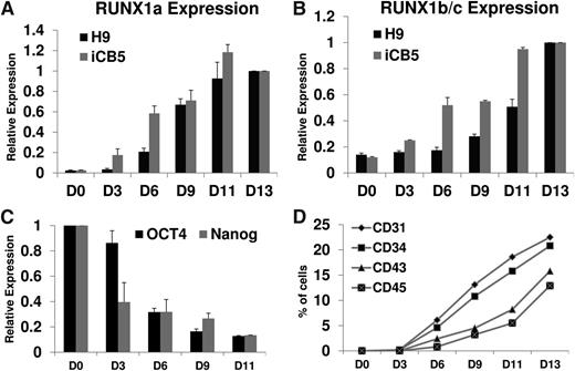 Figure 1. Expression of endogenous RUNX1a and RUNX1b/c parallels lineage commitment and hematopoietic emergence from hPSCs. (A) RT-qPCR analysis of endogenous RUNX1a throughout EB development from hESC (H9) or hiPSC (iCB5). GAPDH is used as an internal control. Results from day 13 EBs are set as 1. Bar chart represents relative RUNX1a expression at various time points. Error bars represent standard deviations (SDs) of 3 independent experiments. (B) RT-qPCR analysis of endogenous RUNX1b/c throughout EB development from hESC (H9) or hiPSC (iCB5). GAPDH is used as an internal control. Results from day 13 EBs are set as 1. Bar chart represents relative RUNX1b/c expression at various time points. Error bars represent SDs of 3 independent experiments. (C) RT-qPCR analysis of endogenous OCT4 and NANOG throughout EB development from hESCs (H9). GAPDH is used as an internal control. Results from undifferentiated cells (D0) are set as 1. Bar chart represents relative OCT4 and NANOG expression at various time points. Error bars represent SDs of 3 independent experiments. (D) Developmental progression of hemato-endothelial and hematopoietic surface marker expressions on disaggregated H9 cells at various time points. y-axis represents percentage of cells with positive staining in FACS analysis. Each time point represents the mean of 3 to 5 independent experiments.