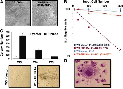 Figure 6. Hematopoietic progenitors derived from RUNX1a hESCs can be expanded through interaction with surrogate niche. (A) Morphology of colonies from bulk long-term culture of CD34+ core blood cells or RUNX1a H9–derived HPCs (CD34+CD45+) on M2-10B4 stromal cells at week 5. Scale bars, 200 μm. (B) Limiting dilution assay on 3- or 5-week expanded CD34+CD45+ cells from vector or RUNX1a-transduced H9 EBs. (C) (Top) Numbers of CFU generated from 40 000 CD34+CD45+ cells of vector or RUNX1a EBs derived from H9 cells after 3- to 5-week culture under LTC conditions followed by 2-week expansion in semisolid methylcellulose media. (Bottom) Representative CFU pictures at week 3. Scale bars, 100 μm. (D) Wright-Giemsa staining of RUNX1a H9–derived progenitor cells at week 5 in bulk LTC conditions and 2-week expansion in semisolid methylcellulose media. Scale bar, 100 μm.