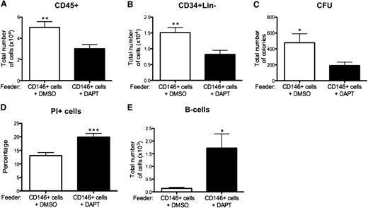Figure 7. Notch inhibition affects survival and B-cell differentiation of HSPCs. Inhibition of Notch was achieved by addition of 10μM DAPT to CD146+ perivascular cells and CB CD34+ cell coculture every other day. Vehicle (DMSO) was added to control cocultures. (A-B) Total number of CD45+ cells and CD34+Lin− cells was significantly reduced after 2 weeks of coculture with DAPT (5.03 ± 0.54 × 104 vs 3.02 ± 0.37 × 104 CD45+ cells, n = 4 independent experiments, each experiment was performed in triplicate, **P < .01; 1.5 ± 0.16 × 104 vs 0.82 ± 0.12 × 104 CD34+Lin− cells, n = 4 independent experiments, each experiment was performed in triplicate, **P < .01). (C) Similarly, the total number of CFUs was significantly reduced after 4 weeks of coculture with DAPT (478.3 ± 112.4 vs 191.0 ± 43.28, n = 3 independent experiments, each experiment was performed in triplicate; * P < .05). (D) Flow cytometry viability analysis revealed a significantly higher frequency of PI+ dead cells in coculture performed in the presence of DAPT (13.08% ± 1.13% vs 19.94 ± 1.31, n = 4 independent experiments, each experiment was performed in triplicate, *** P < .0001). (E) Notch inhibition also significantly increased B-cell development (0.13 ± 0.04 × 103 vs 1.72 ± 0.55 × 103 of lymphoid cells, n = 3 individual experiments, each experiment performed in triplicate; **P < .01). Data are presented as mean ± SEM.