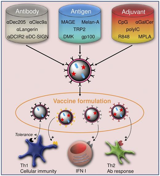 Figure 4. Fine-tuning vaccine formulations to tailor immune responses to diseases. Vehicle preparation from a choice of antigen, adjuvant, and targeting moieties, such as antibodies, results in versatile vaccine formulations. The combination of different vehicles in one vaccine allows not only for a controlled provision of antigen and adjuvant to the targeted cell subsets, but also for tailoring of Th1, Th2, and type I interferon responses to meet the needs for treatment of specific diseases.