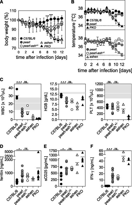 Figure 1. Pearl mice develop transient HLH after LCMV infection independent of the presence of an additional Rab27a mutation. C57BL/6, pearl, pearl-ash+/−, ashen, and PKO mice were infected intravenously with 200 pfu of LCMV-WE, and (A) body weight and (B) temperature were monitored daily. Dashed lines indicate the detection limit. (C) Blood counts were analyzed on d8 after infection. The white line indicates the mean, and the gray area indicates the range of values of naïve pearl mice. D8 serum levels of (D) ferritin, (E) sCD25, and (F) IFN-γ are shown. Graphs show pooled data of 2 independent experiments with 3-4 mice per group except for ashen mice, in which results from 3 mice obtained in 2 independent experiments are shown. n.s. indicates not significant (P > .05); *P < .05; **P < .01; ***P < .001.