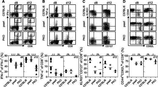 Figure 6. Function and phenotype of pearl CTL at different time points after infection. (A, B) Cytokine production of C57BL/6, pearl, and PKO CTL was analyzed by flow cytometry on days 8 and 12 after infection with 200 pfu of LCMV. CTL were stained for (A) IFN-γ and (B) TNF-α production after peptide stimulation in vitro. Representative FACS plots are shown at the top and (A) frequencies of IFN-γhi cells among IFN-γ+ CD8 T cells and (B) frequencies of TNF-α+ cells among CD8 T cells are shown at the bottom. Surface expression of (C) KLRG1 and CD127 and (D) CD44 and CD62L on CTL are depicted as representative FACS plots (top) and frequencies are shown (bottom). Representative data from 1 of 2 independent experiments with 3-4 mice per group are shown. For IFN-γ and TNF-α (day 8) pooled data from two independent experiments are shown. n.s. indicates not significant (P > .05); *P < .05; **P < .01; ***P < .001.