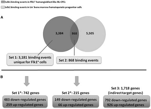 Figure 2. Genome-wide Ldb1 binding in BL-CFCs vs adult hematopoietic progenitor cells and transcriptional function of Ldb1 on BL-CFC gene expression. (A) Venn diagram comparing Ldb1-binding events in Flk1+ BL-CFCs vs Lin– bone marrow hematopoietic progenitor cells.11 (B) Correlative crossing between Ldb1 ChIP-sequencing dataset in BL-CFCs and gene expression dataset of Ldb1−/− vs Ldb1+/+ BL-CFCs.